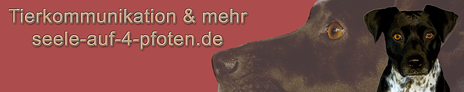 Seele auf 4 Pfoten